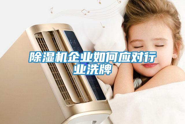 除濕機企業如何應對行業洗牌