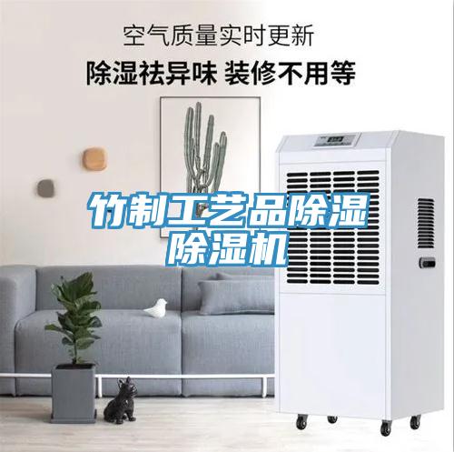 竹制工藝品除濕除濕機