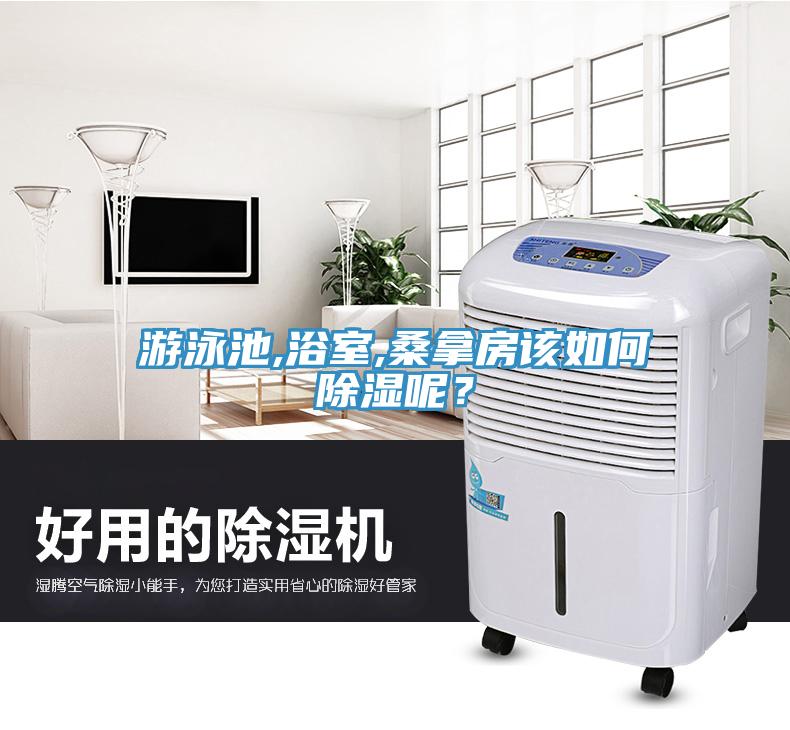 游泳池,浴室,桑拿房該如何除濕呢？