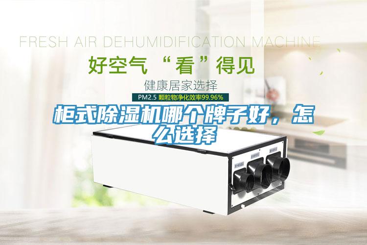 柜式除濕機哪個牌子好，怎么選擇