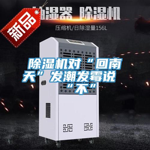 除濕機對“回南天”發潮發霉說“不”