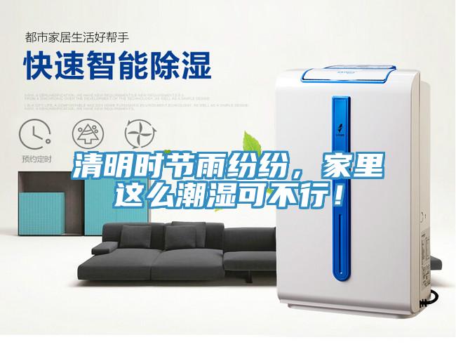 清明時節雨紛紛，家里這么潮濕可不行！