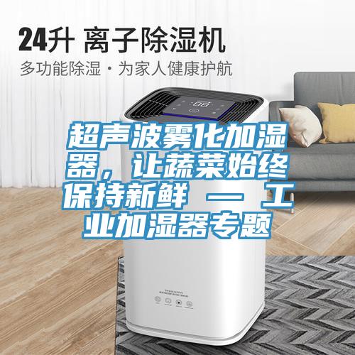 超聲波霧化加濕器，讓蔬菜始終保持新鮮 — 工業加濕器專題