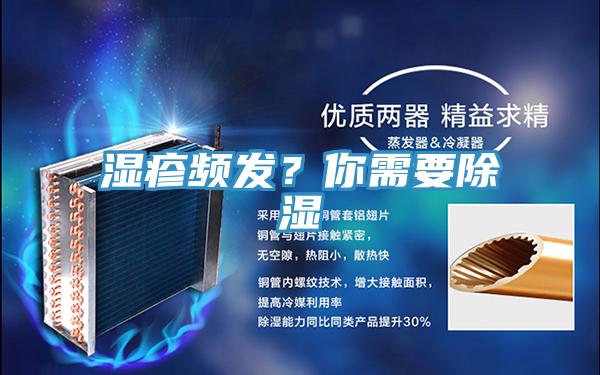 濕疹頻發？你需要除濕