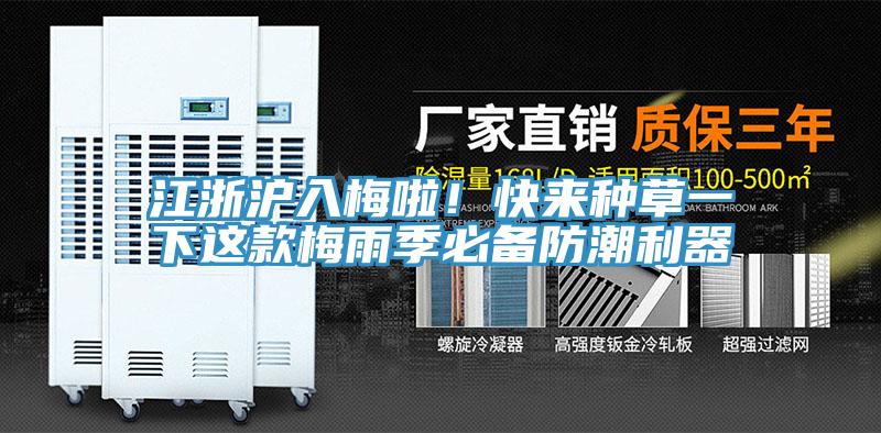江浙滬入梅啦！快來種草一下這款梅雨季必備防潮利器