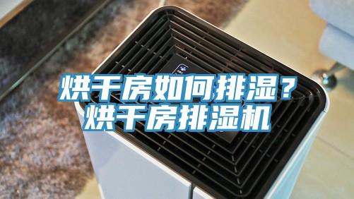 烘干房如何排濕？烘干房排濕機