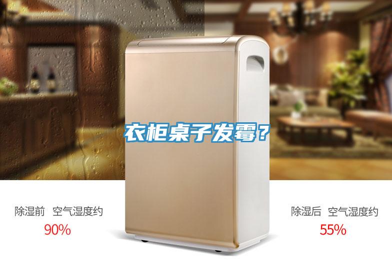 衣柜桌子發霉？