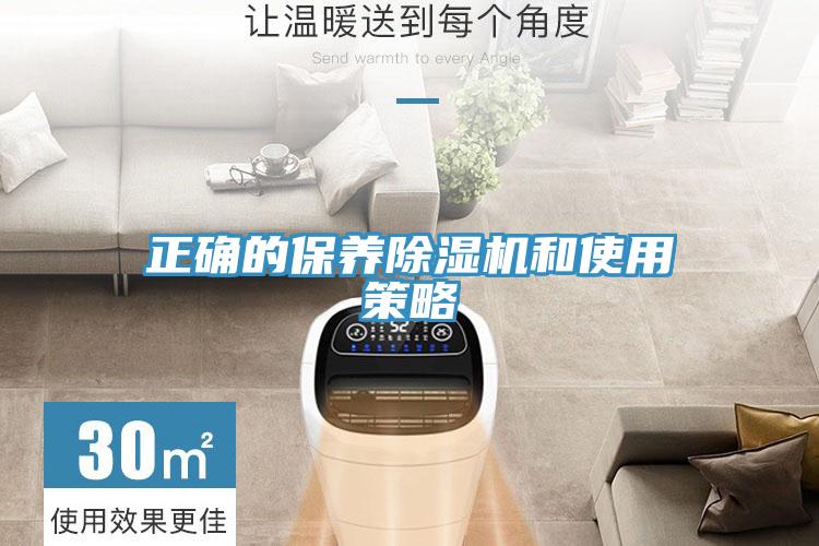 正確的保養除濕機和使用策略