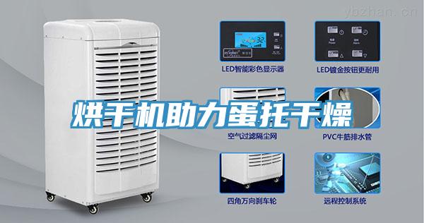 烘干機助力蛋托干燥