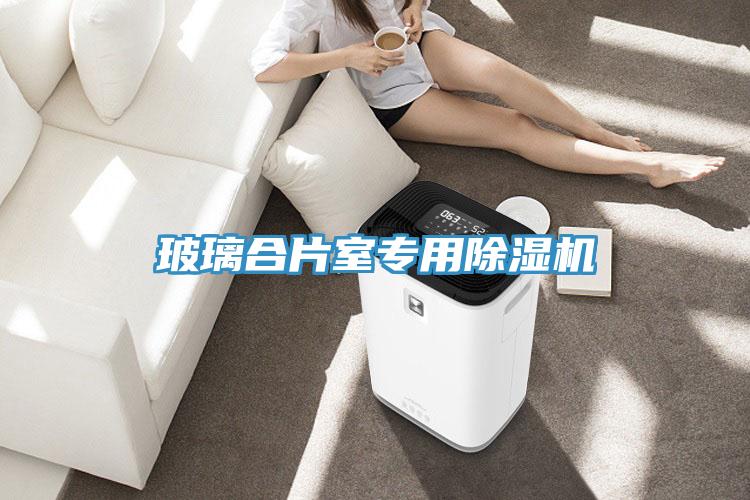 玻璃合片室專用除濕機