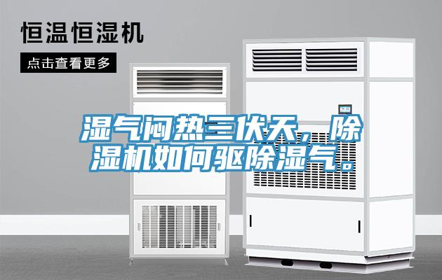 濕氣悶熱三伏天，除濕機如何驅除濕氣。