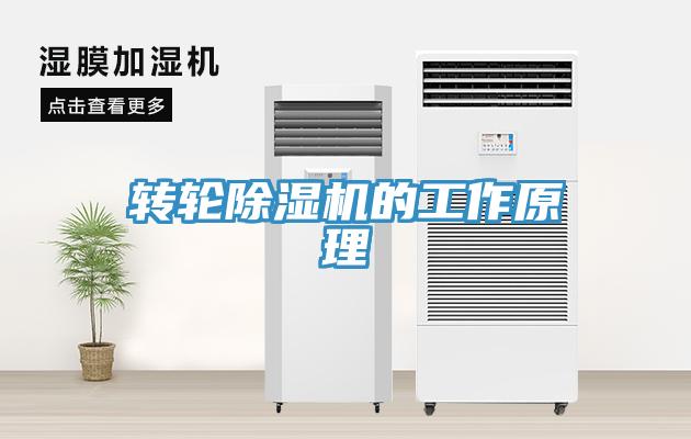 轉輪除濕機的工作原理