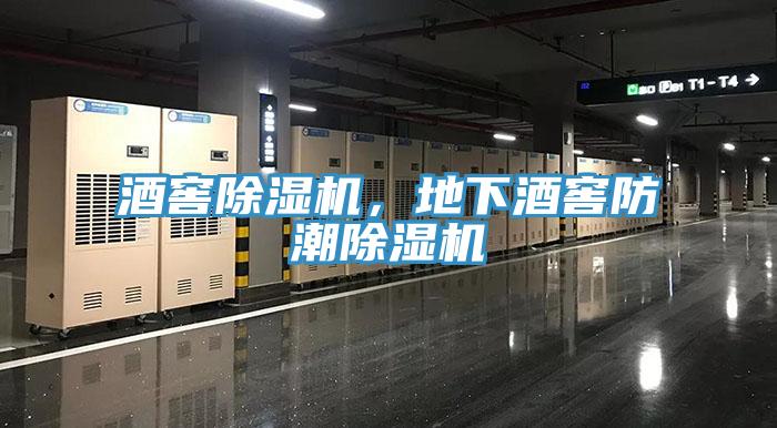 酒窖除濕機，地下酒窖防潮除濕機