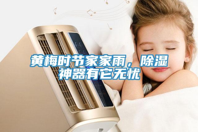 黃梅時節家家雨，除濕神器有它無憂