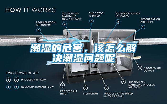 潮濕的危害，該怎么解決潮濕問題呢