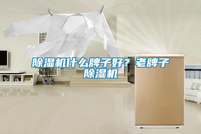除濕機什么牌子好？老牌子除濕機
