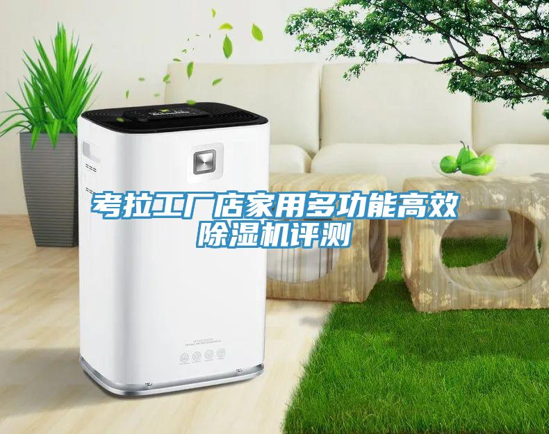 考拉工廠店家用多功能高效除濕機評測