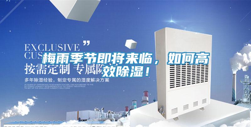 梅雨季節即將來臨，如何高效除濕！
