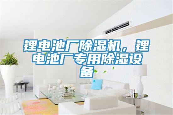 鋰電池廠除濕機，鋰電池廠專用除濕設備