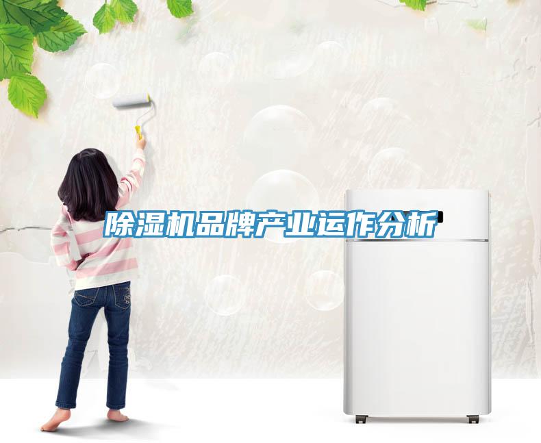 除濕機品牌產業運作分析