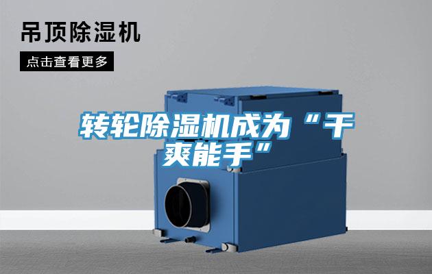 轉輪除濕機成為“干爽能手”