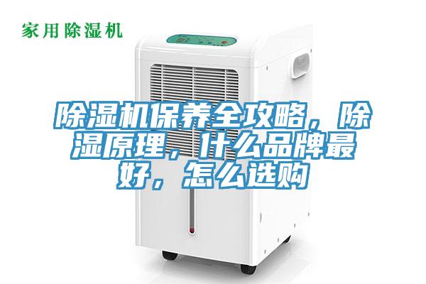 除濕機保養全攻略，除濕原理，什么品牌最好，怎么選購