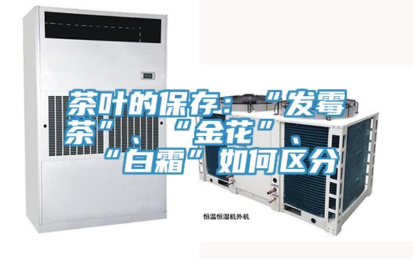茶葉的保存：“發霉茶”、“金花”、“白霜”如何區分