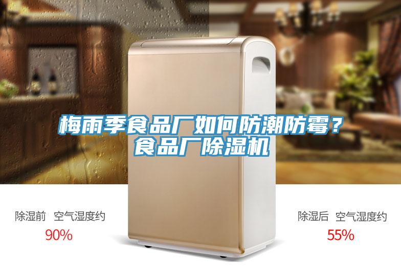 梅雨季食品廠如何防潮防霉？食品廠除濕機