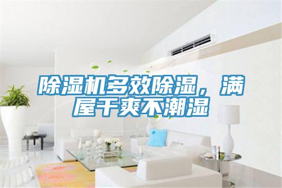 除濕機多效除濕，滿屋干爽不潮濕