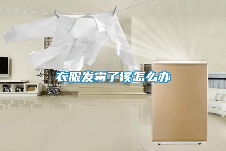 衣服發霉了該怎么辦