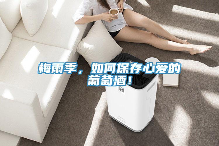 梅雨季，如何保存心愛的葡萄酒！