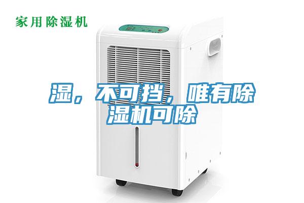 濕，不可擋，唯有除濕機可除
