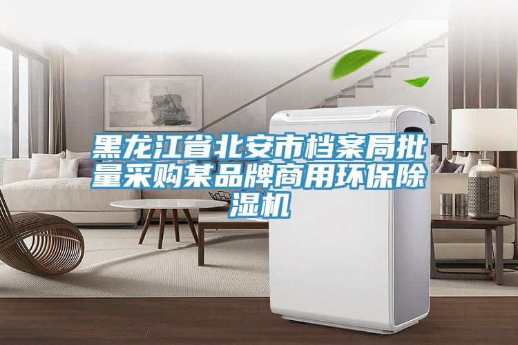 黑龍江省北安市檔案局批量采購某品牌商用環保除濕機