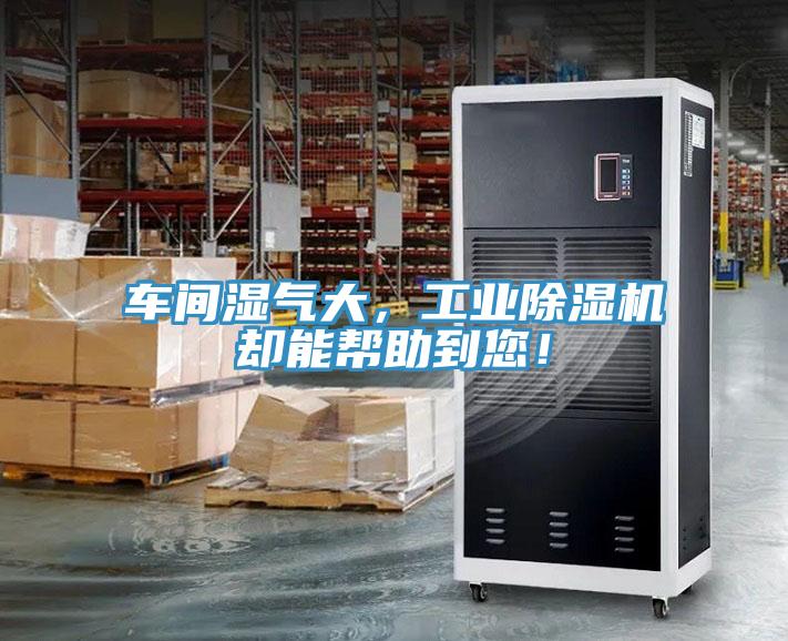 車間濕氣大，工業除濕機卻能幫助到您！