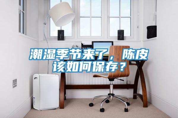 潮濕季節來了，陳皮該如何保存？