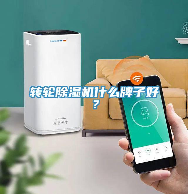 轉輪除濕機什么牌子好？