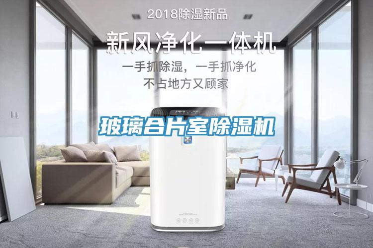 玻璃合片室除濕機