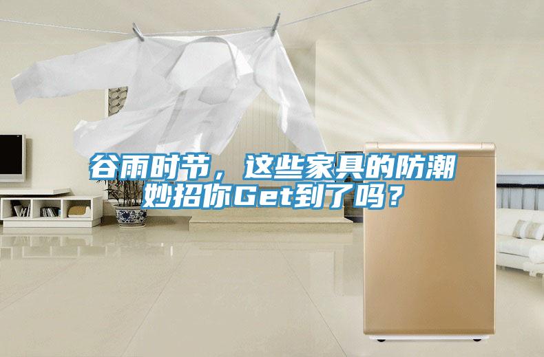 谷雨時節，這些家具的防潮妙招你Get到了嗎？