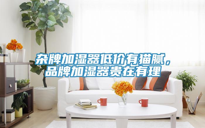 雜牌加濕器低價有貓膩，品牌加濕器貴在有理