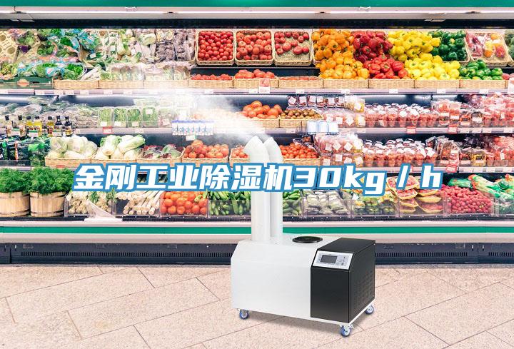 金剛工業除濕機30kg／h