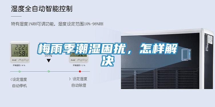 梅雨季潮濕困擾，怎樣解決