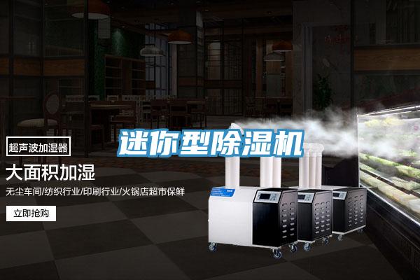 迷你型除濕機