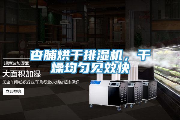 杏脯烘干排濕機，干燥均勻見效快