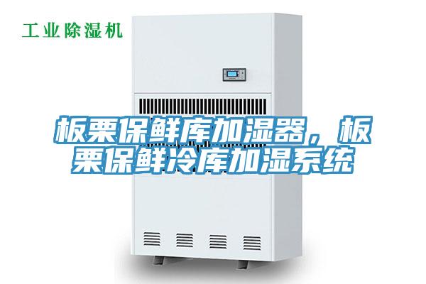 板栗保鮮庫加濕器，板栗保鮮冷庫加濕系統