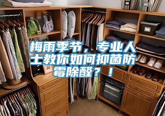 梅雨季節，專業人士教你如何抑菌防霉除醛？！