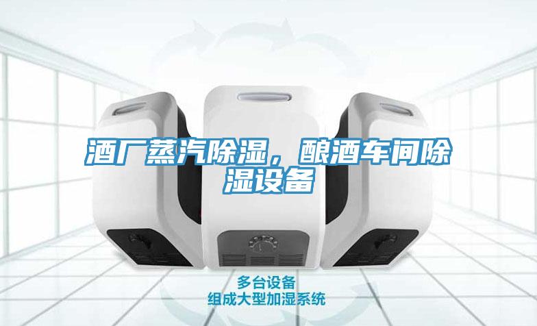 酒廠蒸汽除濕，釀酒車間除濕設備
