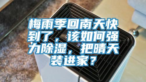 梅雨季回南天快到了，該如何強力除濕，把晴天裝進家？
