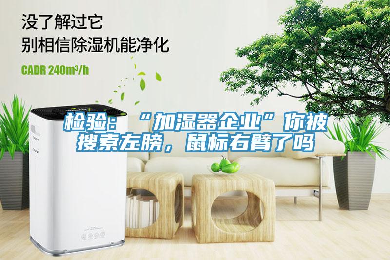 檢驗：“加濕器企業”你被搜索左膀，鼠標右臂了嗎