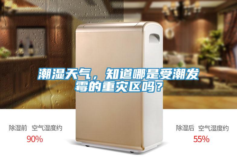 潮濕天氣，知道哪是受潮發霉的重災區嗎？