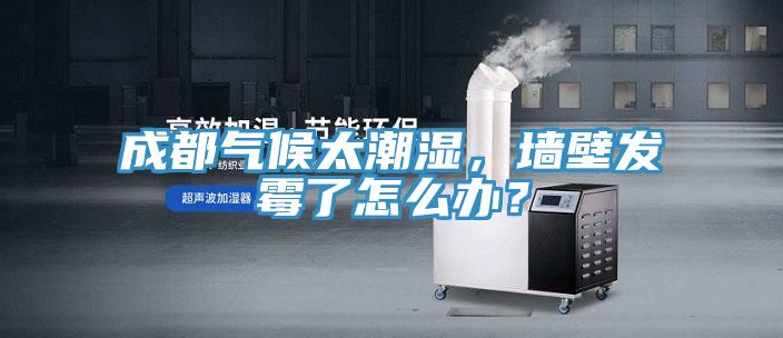 成都氣候太潮濕，墻壁發霉了怎么辦？